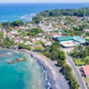 Meet your Posher, Polly